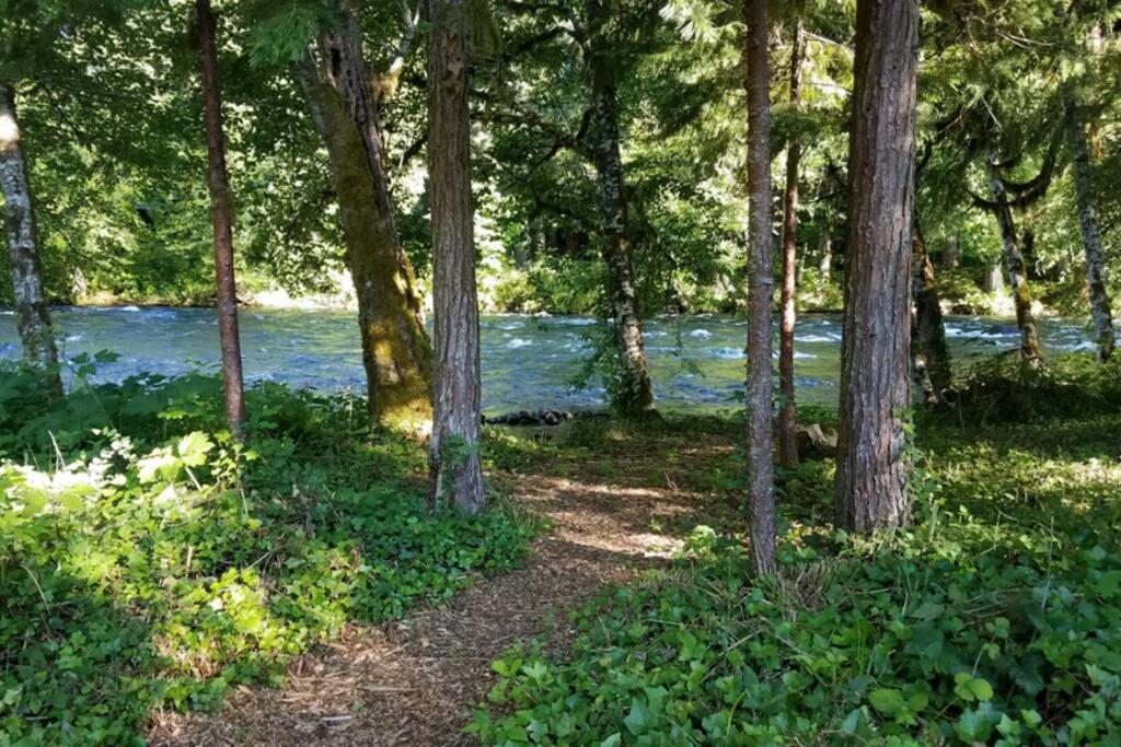 On The River Wooded Bliss Cabin Near Loloma McKenzie Bridge Exterior foto